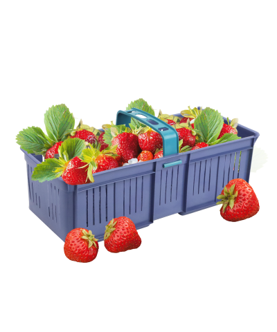 Łubianka plastikowa 5 kg