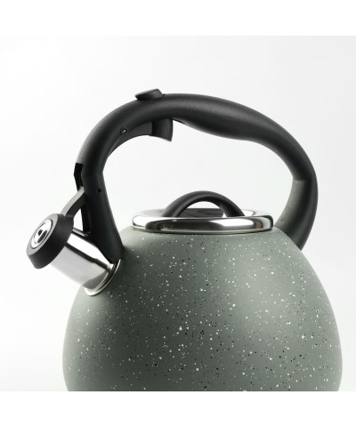 Czajnik z Gwizdkiem ze Stali Nierdzewnej 3L szary