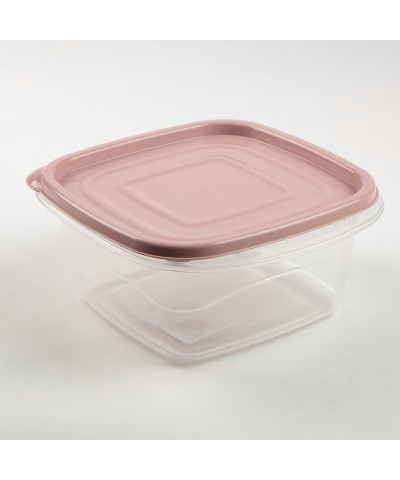 Pojemnik do przechowywania żywności "Omega" kwadratowy 1L (mix)