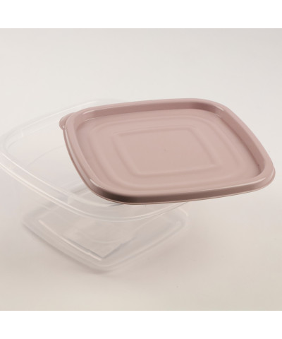 Pojemnik do przechowywania żywności "Omega" kwadratowy 1L (mix)