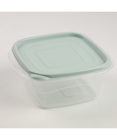 Pojemnik do przechowywania żywności "Omega" kwadratowy 1L (mix)