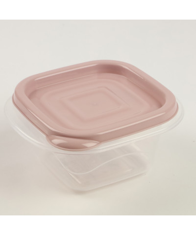 Pojemnik do przechowywania żywności "Omega" kwadratowy 0,45L (mix)