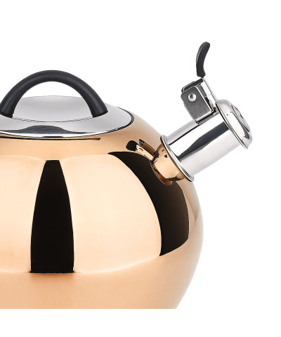 Czajnik ze stali nierdzewnej ZAWISZA 3l