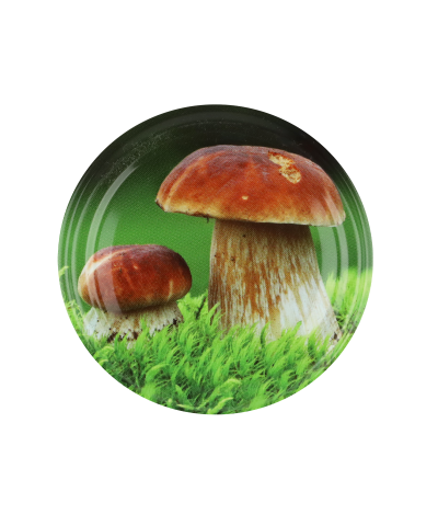 Wieczko do słoika grzybki mix fi66 4 zaczepy  - 2