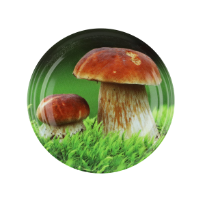 Wieczko do słoika fi66 4 zaczepy grzybki mix 