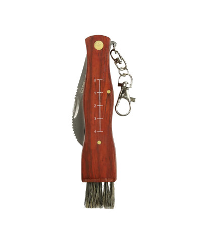 Nóż Składany Do Grzybów 25 cm